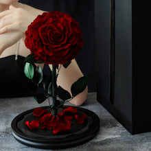 Load image into Gallery viewer, Eternal Flower Gift Box Finished Ornament Little Prince Rose Gift Glass Cover Valentine's Day Gift Dried Flower Wholesale