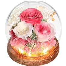 Load image into Gallery viewer, Eternal Flower Gift Box Finished Ornament Little Prince Rose Gift Glass Cover Valentine's Day Gift Dried Flower Wholesale