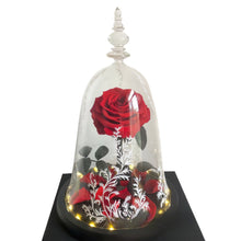Load image into Gallery viewer, Eternal Flower Gift Box Finished Ornament Little Prince Rose Gift Glass Cover Valentine's Day Gift Dried Flower Wholesale