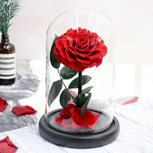 Load image into Gallery viewer, Eternal Flower Gift Box Finished Ornament Little Prince Rose Gift Glass Cover Valentine&#39;s Day Gift Dried Flower Wholesale
