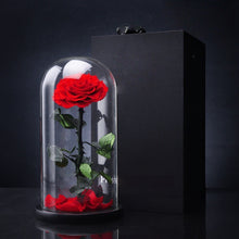 Load image into Gallery viewer, Eternal Flower Gift Box Finished Ornament Little Prince Rose Gift Glass Cover Valentine&#39;s Day Gift Dried Flower Wholesale
