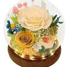 Load image into Gallery viewer, Eternal Flower Gift Box Finished Ornament Little Prince Rose Gift Glass Cover Valentine&#39;s Day Gift Dried Flower Wholesale
