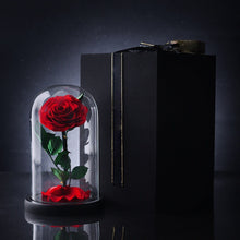 Load image into Gallery viewer, Eternal Flower Gift Box Finished Ornament Little Prince Rose Gift Glass Cover Valentine&#39;s Day Gift Dried Flower Wholesale

