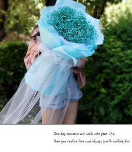 Baby's Breath Bouquet